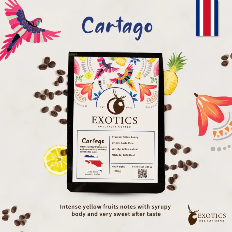 CARTAGO بن كوستاريكا كارتاجو المختص