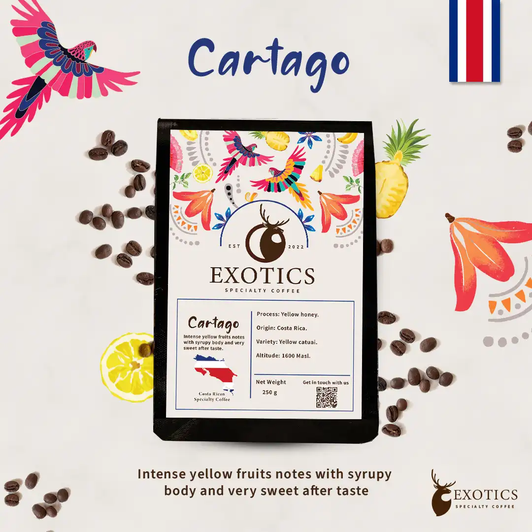 cartago post CARTAGO بن كوستاريكا كارتاجو المختص