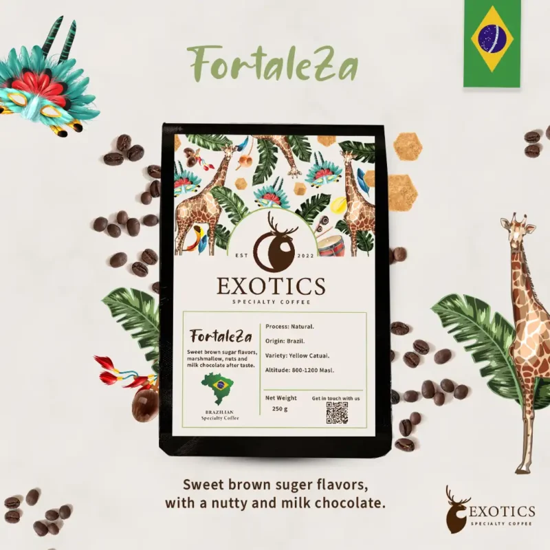 FORTALEZA | قهوة فورتاليزا لعشاق القهوة الكلاسيك