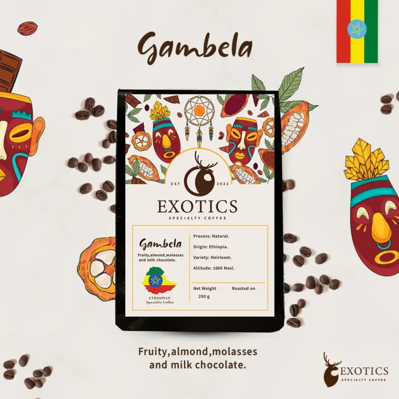 Gambela | جامبيلا قهوة أثيوبية مختصة