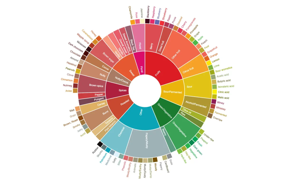 coffee flavor wheel en