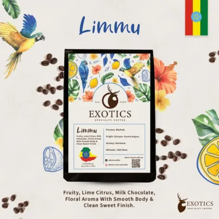 Limmu | بن أثيوبي مختص من إقليم أوروميا